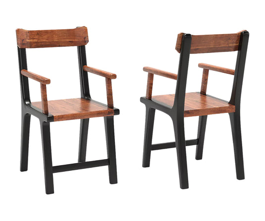 Dravena Dining Chairs Set of 2.
